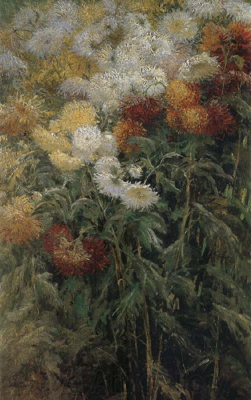 Gustave Caillebotte The chrysanthemum in the garden Spain oil painting art